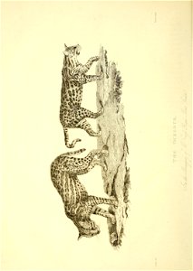 n171_w1150