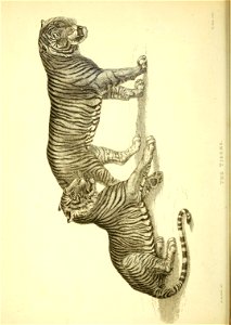 n107_w1150