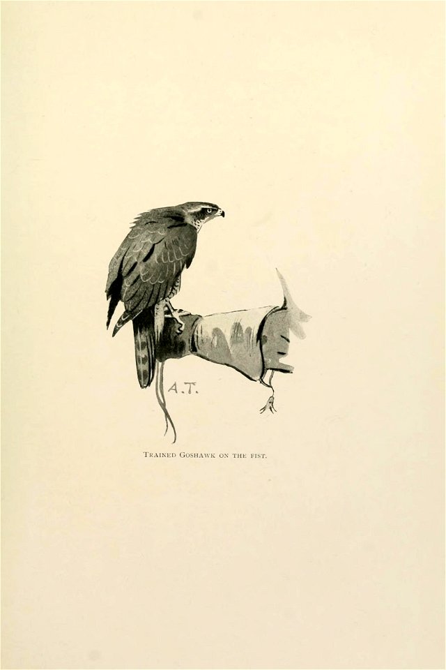 n148_w1150