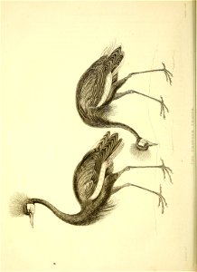 n167_w1150