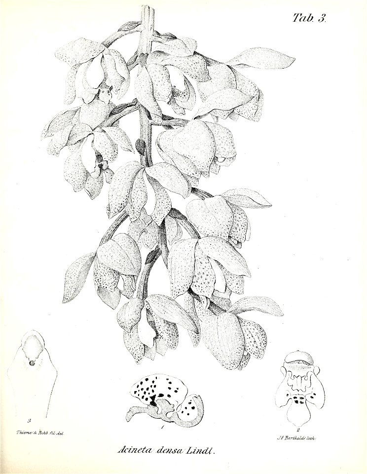 n114_w1150
