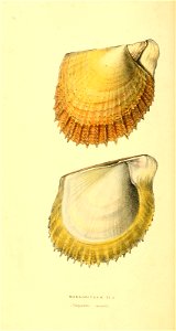 n67_w1150