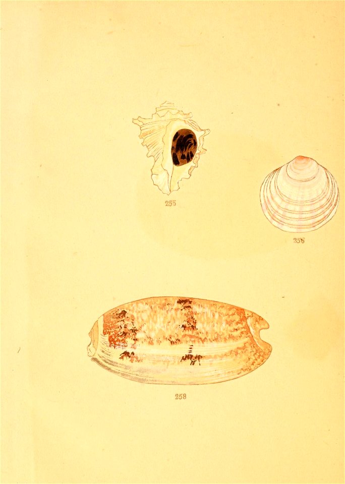 n19_w1150