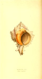 n139_w1150