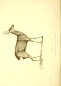 n199_w1150