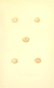 n46_w1150