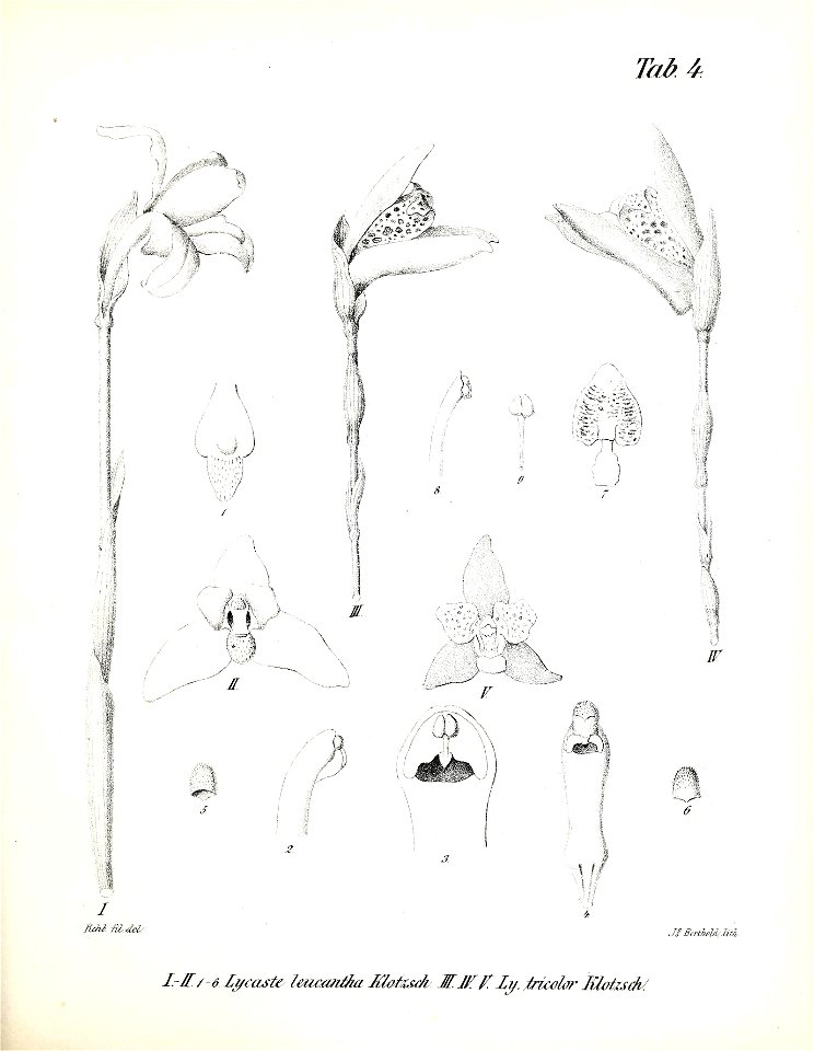 n116_w1150