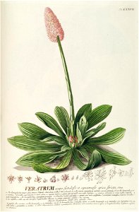 n149_w1150
