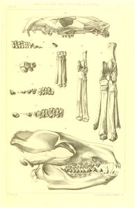 n138_w1150