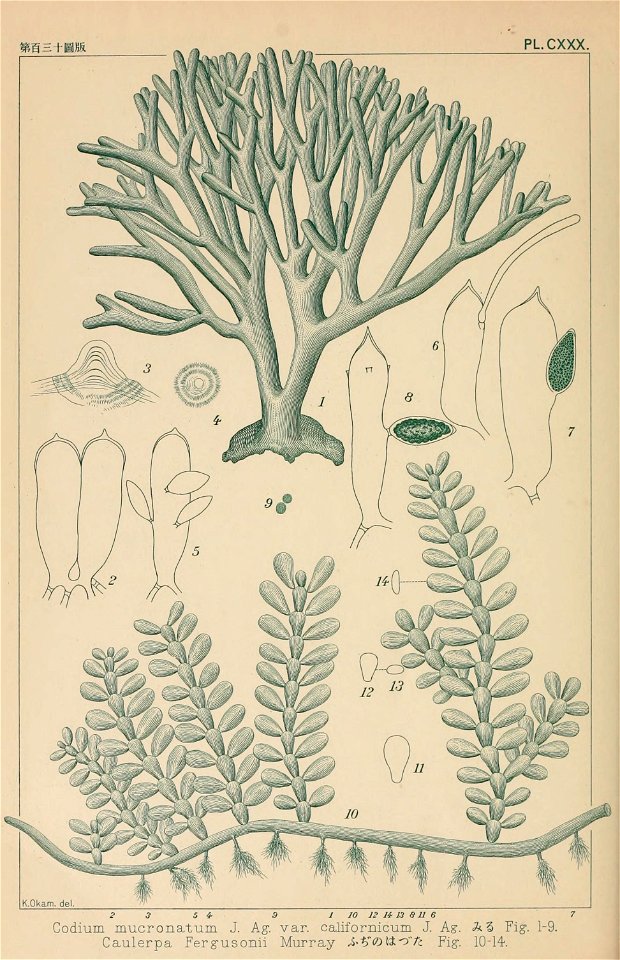 n183_w1150