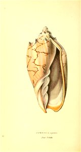 n233_w1150
