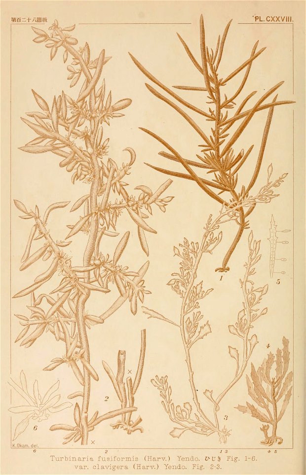 n173_w1150