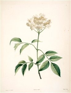 n163_w1150