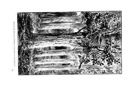 n228_w1150