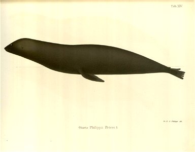 n67_w1150