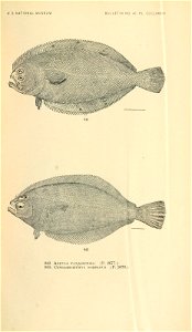 n1052_w1150