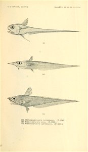 n1022_w1150