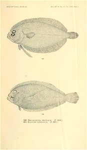 n1050_w1150