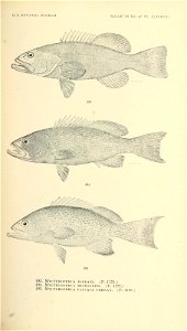 n660_w1150