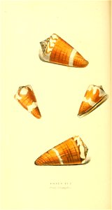 n127_w1150