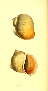 n121_w1150