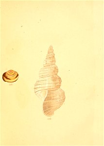 n24_w1150