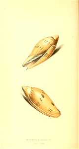 n257_w1150