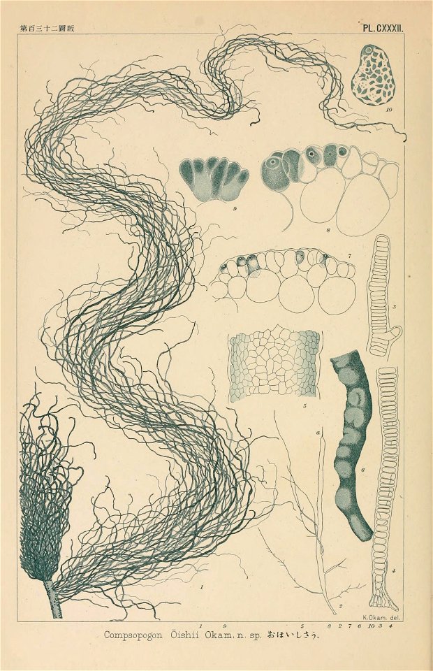 n199_w1150