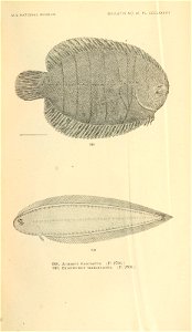 n1058_w1150