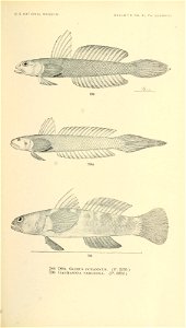 n938_w1150