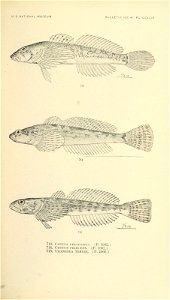 n872_w1150