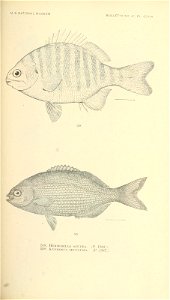 n722_w1150