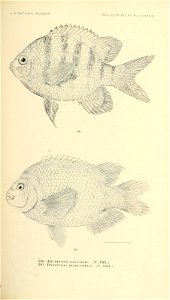 n752_w1150