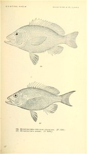 n662_w1150