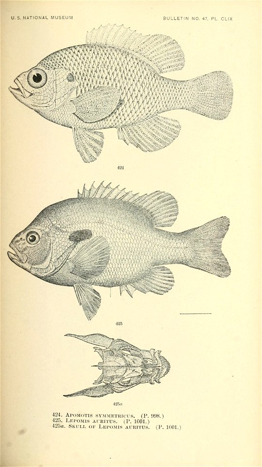 n602_w1150