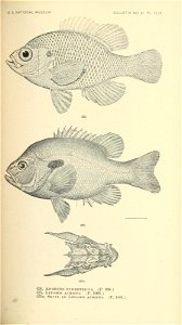 n602_w1150