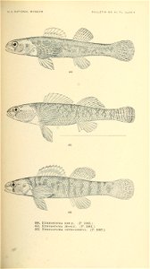 n632_w1150