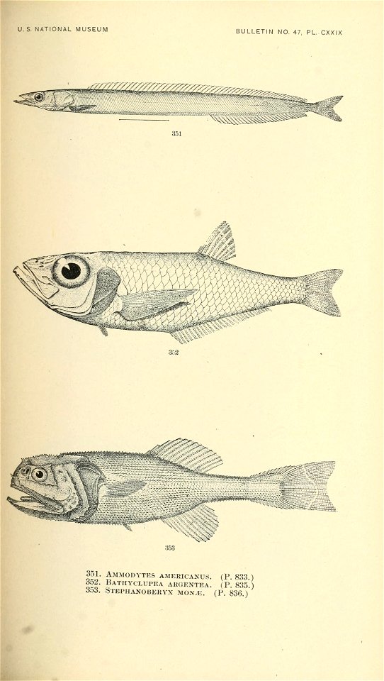 n542_w1150