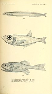 n542_w1150