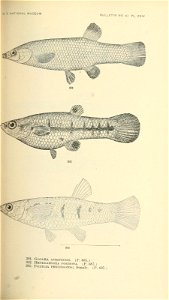 n512_w1150