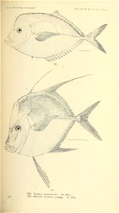 n572_w1150