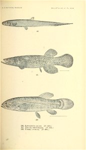 n482_w1150
