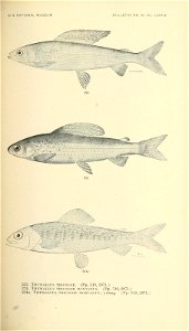 n452_w1150