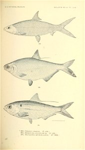 n422_w1150