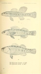n630_w1150