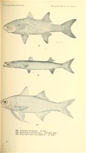 n540_w1150