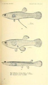n510_w1150