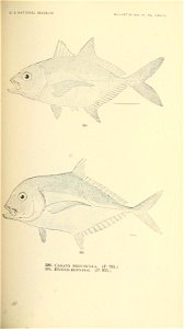 n570_w1150
