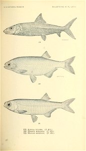 n420_w1150