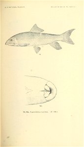 n360_w1150